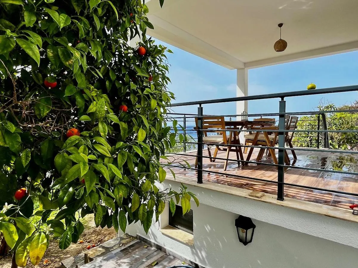 Villa In Yalikavak, Panoramic Sea View And Beach Bodrum 0*,  Turkey